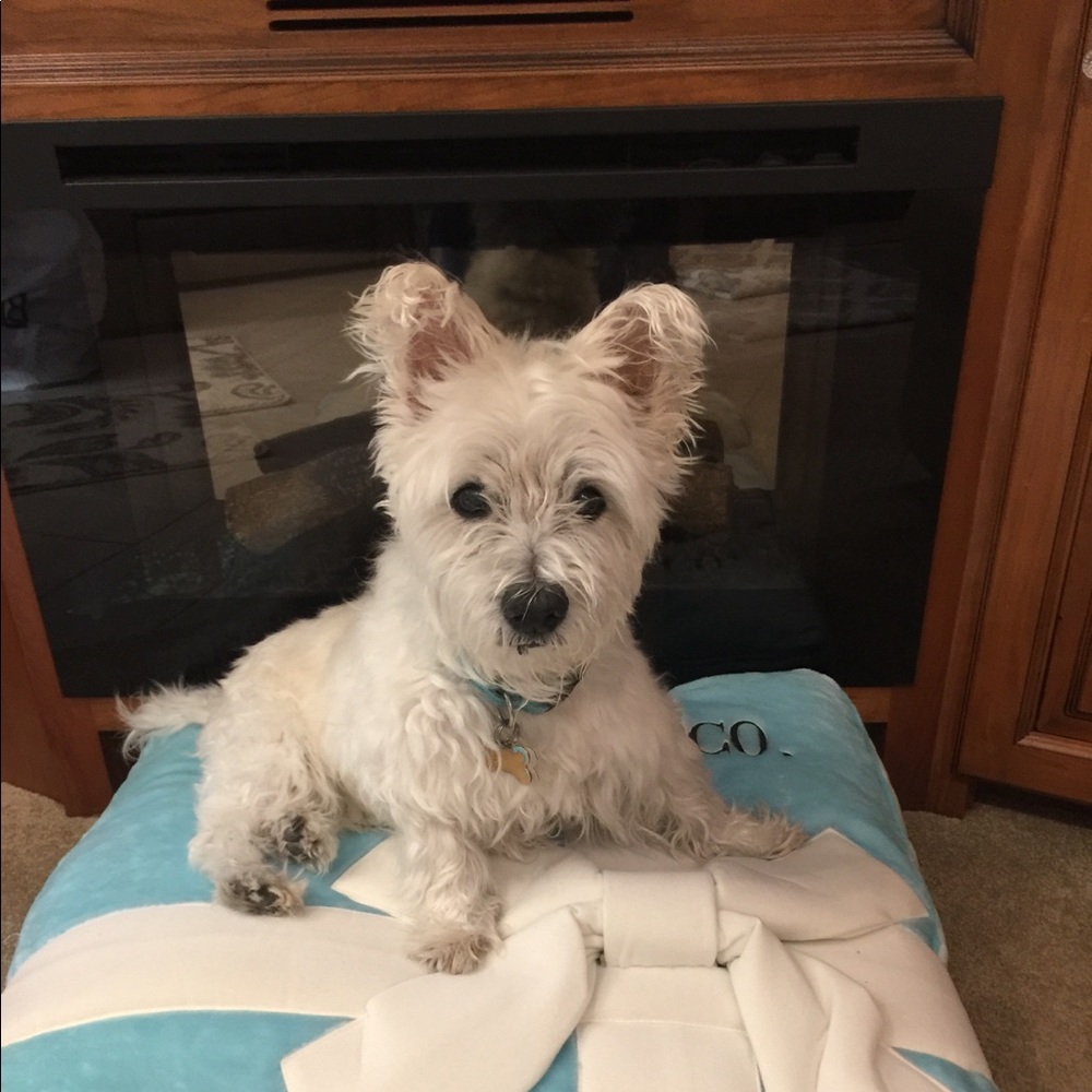 Meet your Posher, Yolanda